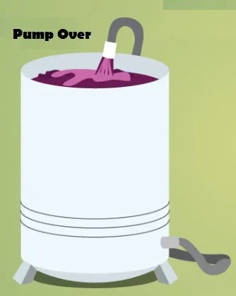 Winery Pump ( TWP)